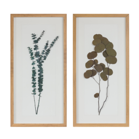 Dried Eucalyptus Frame