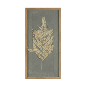 Dried Fern Frame