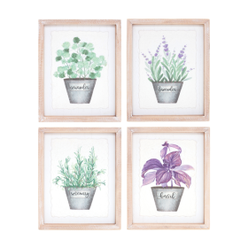 Framed Watercolor Herb Print